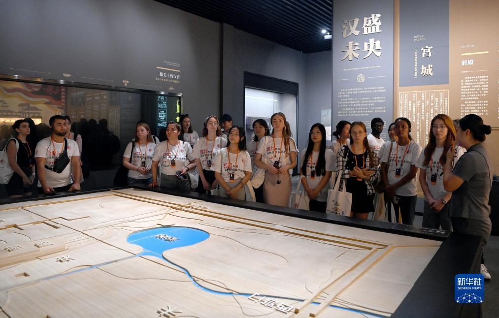 棋乐游官方网